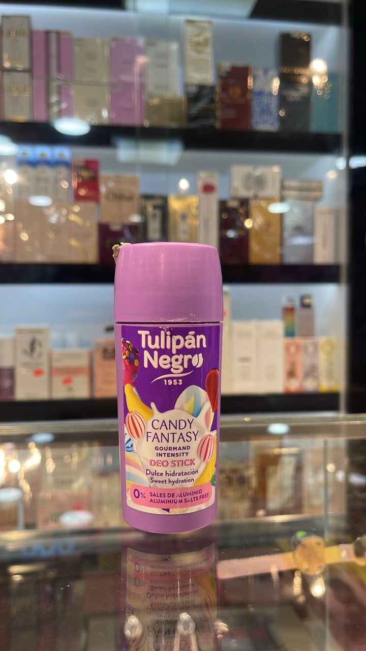 Tulipan Negr Candy fantasty
